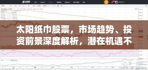 太阳纸巾股票，市场趋势、投资前景深度解析，潜在机遇不容错过