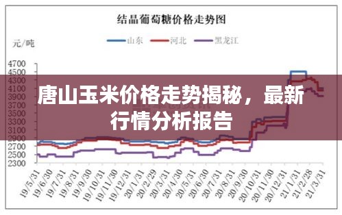 唐山玉米价格走势揭秘，最新行情分析报告