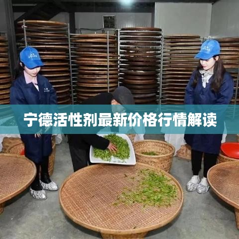 宁德活性剂最新价格行情解读