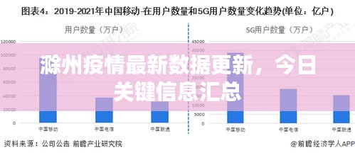 滁州疫情最新数据更新，今日关键信息汇总