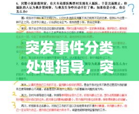 突发事件分类处理指导，突发事件分为 