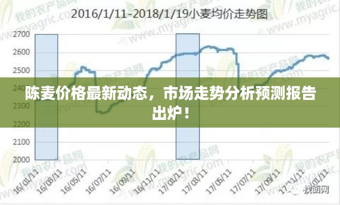 陈麦价格最新动态，市场走势分析预测报告出炉！