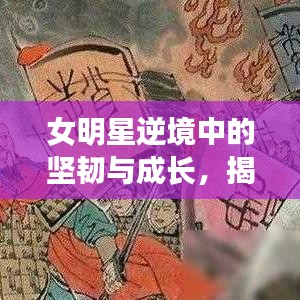 女明星逆境中的坚韧与成长，揭秘她们面临的危险与挑战