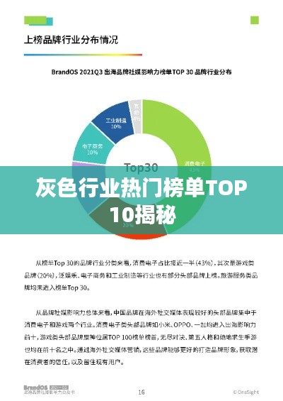 灰色行业热门榜单TOP10揭秘