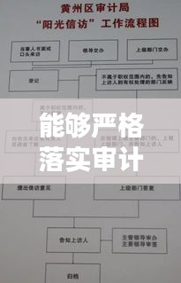 能够严格落实审计制度，严格审计程序 