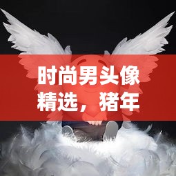 时尚男头像精选，猪年个性高清头像，风格独特魅力四溢