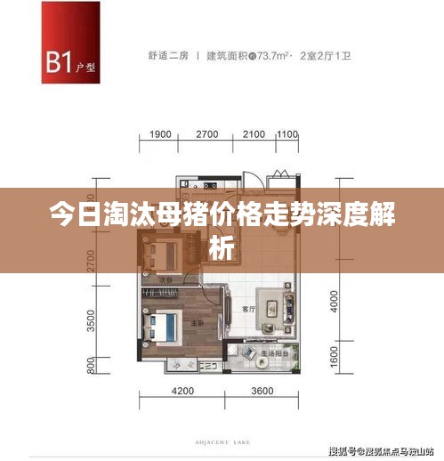 今日淘汰母猪价格走势深度解析