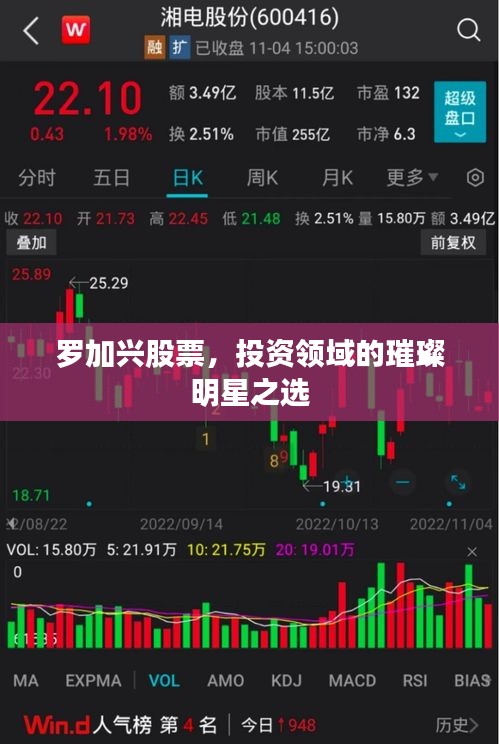 罗加兴股票，投资领域的璀璨明星之选