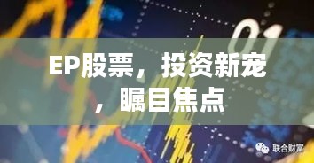 EP股票，投资新宠，瞩目焦点