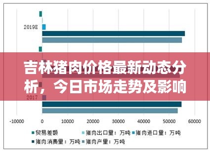 吉林猪肉价格最新动态分析，今日市场走势及影响因素探讨