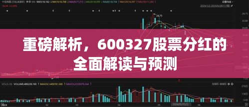 重磅解析，600327股票分红的全面解读与预测