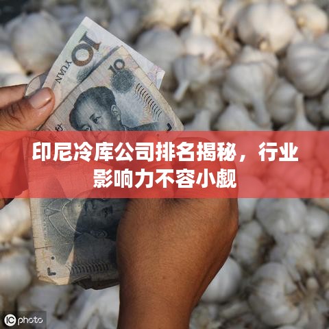 印尼冷库公司排名揭秘，行业影响力不容小觑