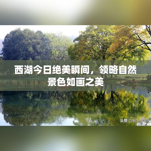 西湖今日绝美瞬间，领略自然景色如画之美