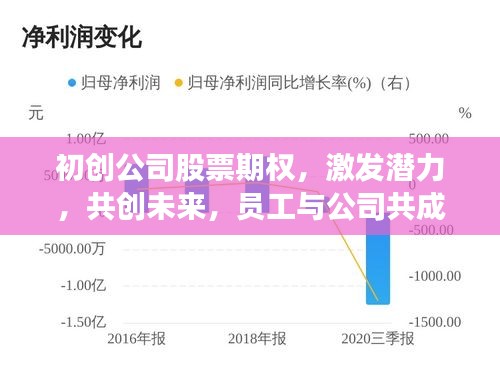 初创公司股票期权，激发潜力，共创未来，员工与公司共成长之路