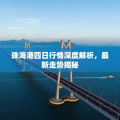 珠海港四日行情深度解析，最新走势揭秘