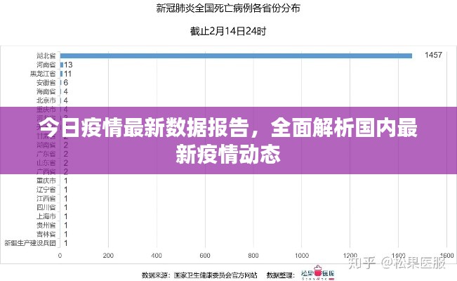 今日疫情最新数据报告，全面解析国内最新疫情动态