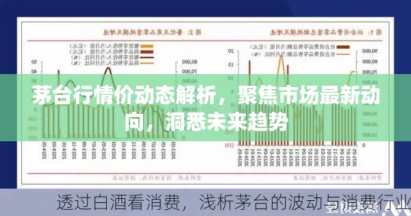 茅台行情价动态解析，聚焦市场最新动向，洞悉未来趋势