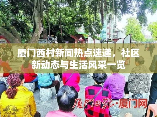 厦门西村新闻热点速递，社区新动态与生活风采一览