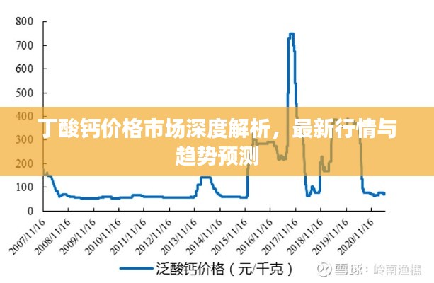 丁酸钙价格市场深度解析，最新行情与趋势预测