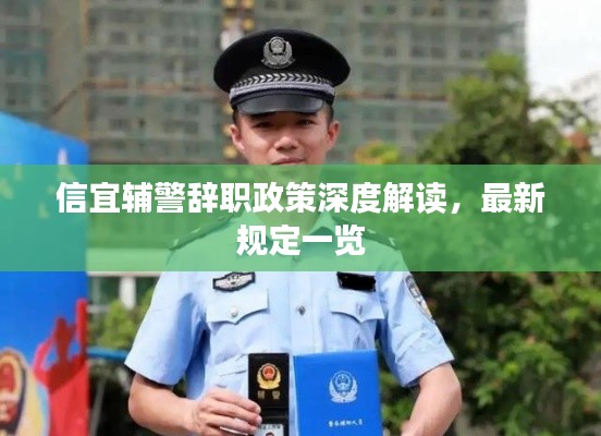 信宜辅警辞职政策深度解读，最新规定一览