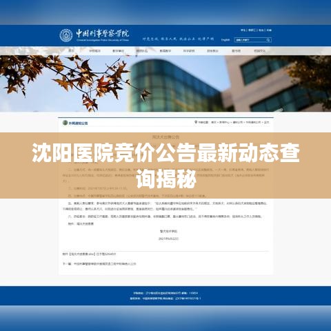 沈阳医院竞价公告最新动态查询揭秘