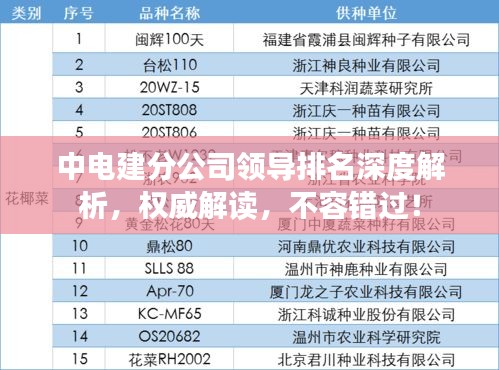 中电建分公司领导排名深度解析，权威解读，不容错过！