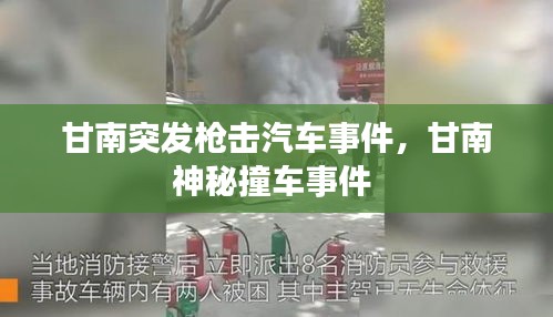 甘南突发枪击汽车事件，甘南神秘撞车事件 