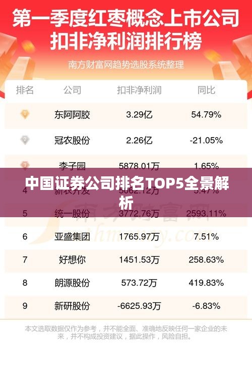 中国证券公司排名TOP5全景解析