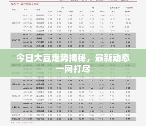 今日大豆走势揭秘，最新动态一网打尽