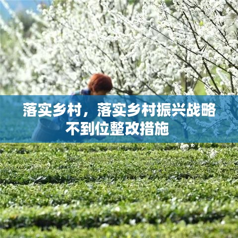 落实乡村，落实乡村振兴战略不到位整改措施 