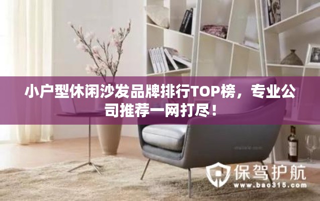 小户型休闲沙发品牌排行TOP榜，专业公司推荐一网打尽！