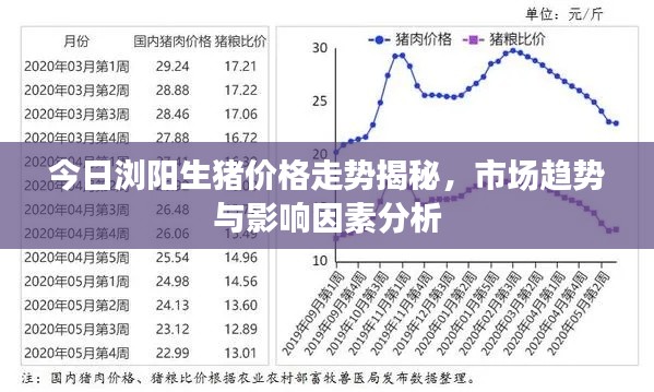 今日浏阳生猪价格走势揭秘，市场趋势与影响因素分析