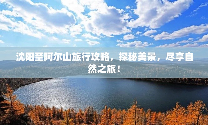 沈阳至阿尔山旅行攻略，探秘美景，尽享自然之旅！