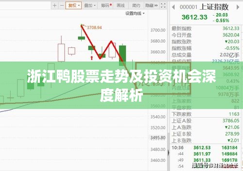 浙江鸭股票走势及投资机会深度解析
