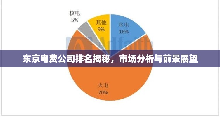 东京电费公司排名揭秘，市场分析与前景展望