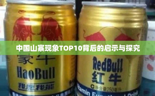 中国山寨现象TOP10背后的启示与探究