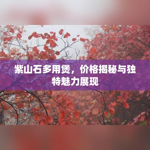 紫山石多用煲，价格揭秘与独特魅力展现