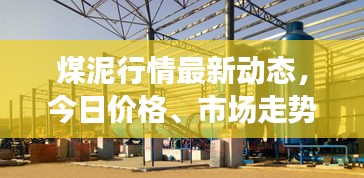 煤泥行情最新动态，今日价格、市场走势与未来趋势分析