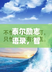 泰尔励志语录，智慧勇气并存，追寻梦想之路