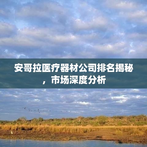 安哥拉医疗器材公司排名揭秘，市场深度分析