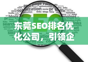 东莞SEO排名优化公司，引领企业网络营销新动力