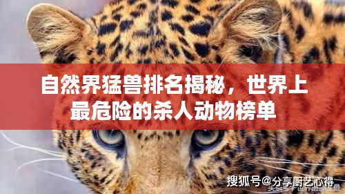 自然界猛兽排名揭秘，世界上最危险的杀人动物榜单