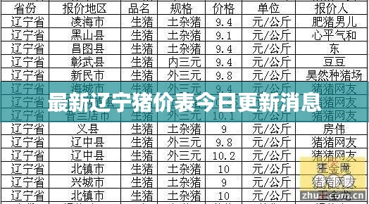 2025年2月19日 第10页