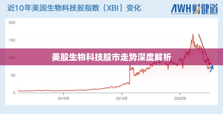 美股生物科技股市走势深度解析