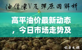 高平油价最新动态，今日市场走势及影响因素深度解析