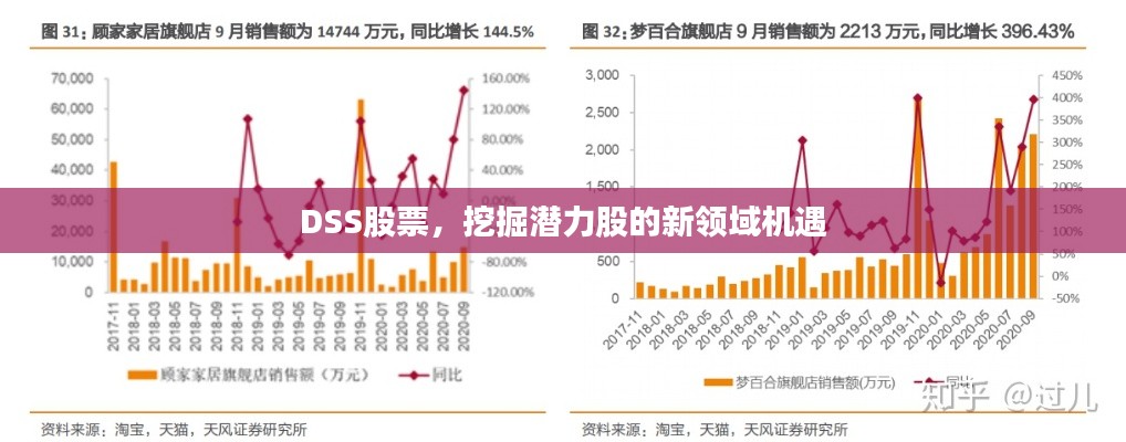 DSS股票，挖掘潜力股的新领域机遇