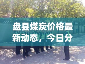 盘县煤炭价格最新动态，今日分析与未来展望