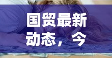 国贸最新动态，今日新闻头条消息速递