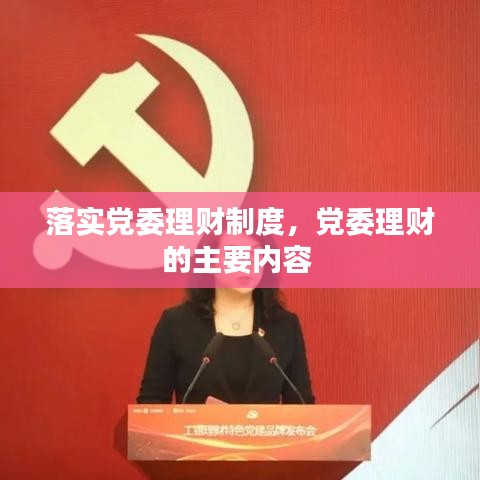 落实党委理财制度，党委理财的主要内容 