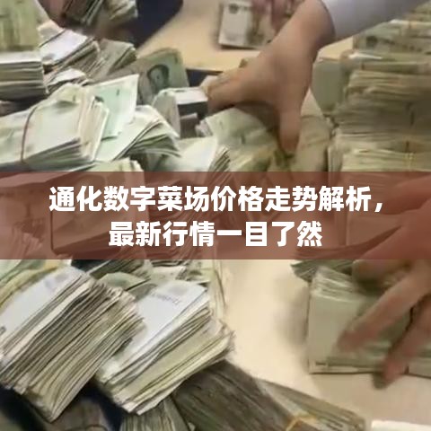 通化数字菜场价格走势解析，最新行情一目了然